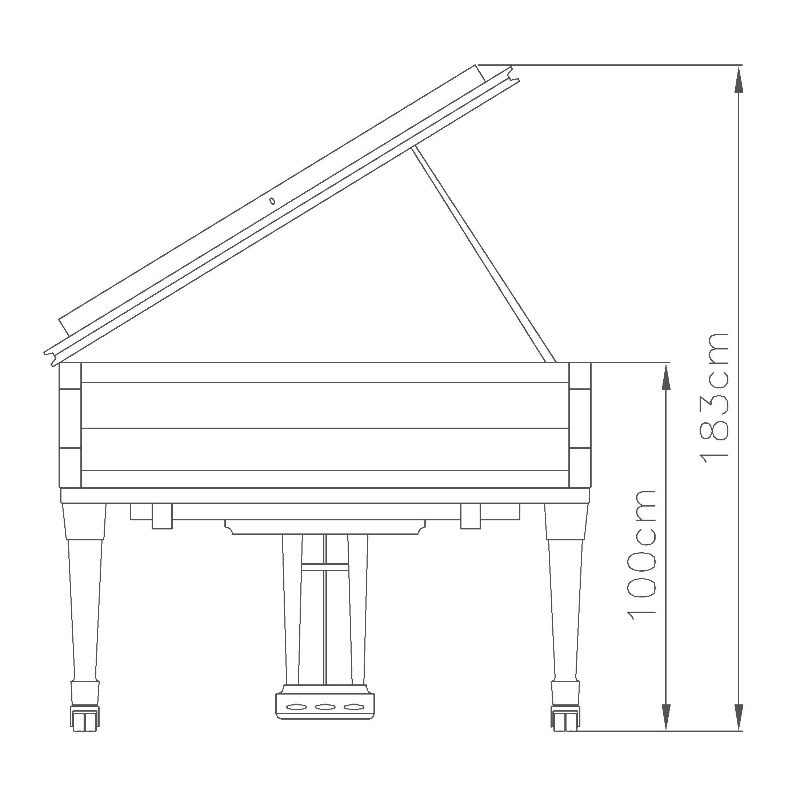 Additional image for Fazioli F156