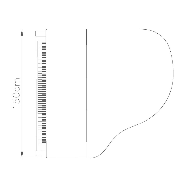 Additional image for Fazioli F156
