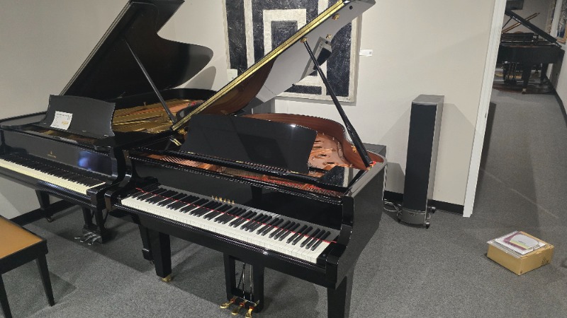Yamaha DC1X - Player