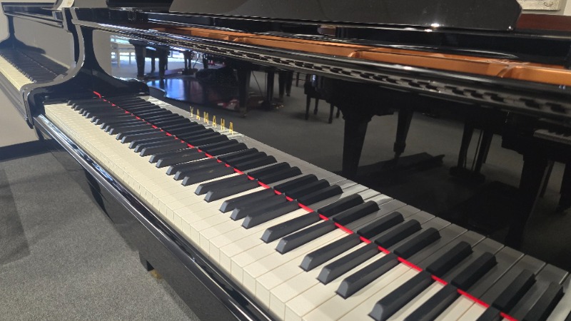 Additional image for Yamaha DC1X - Player