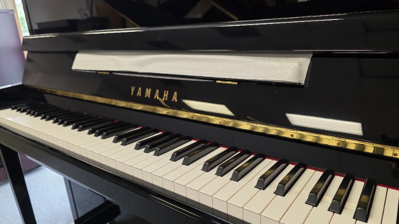 Additional image for Yamaha B2