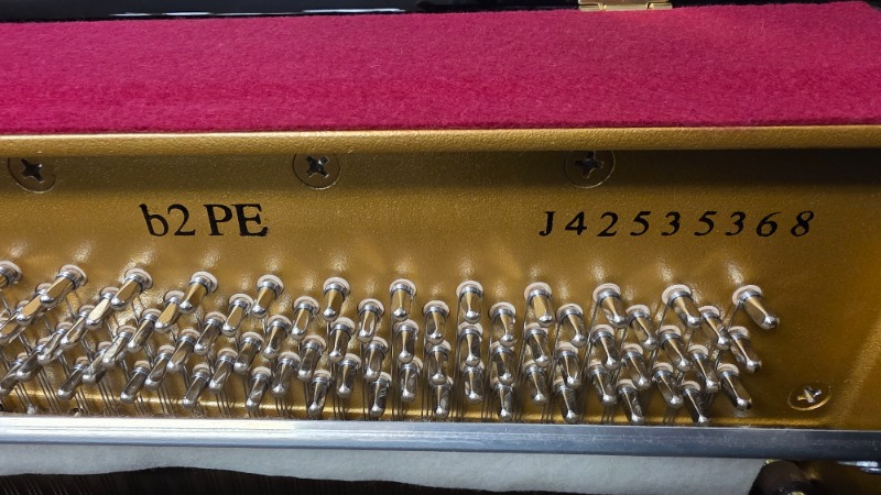 Additional image for Yamaha B2