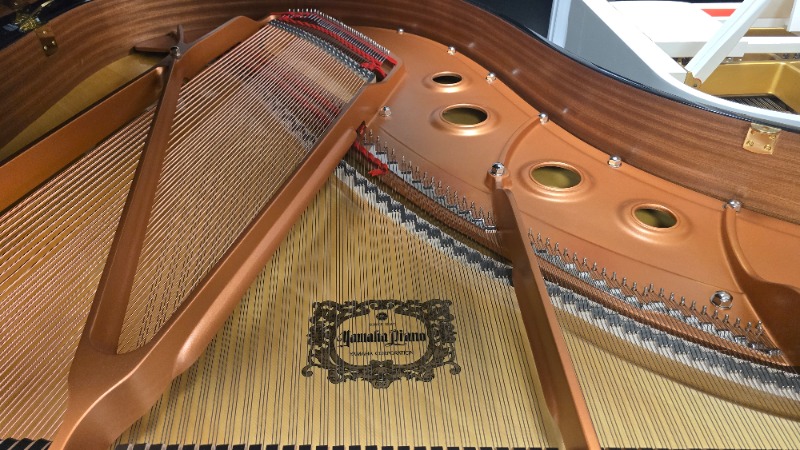 Additional image for Yamaha C3X