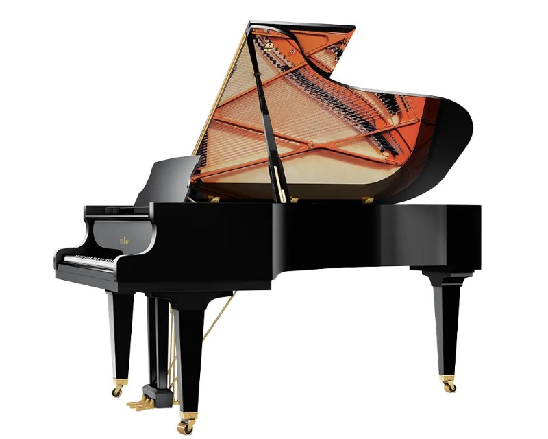 Schimmel C213T