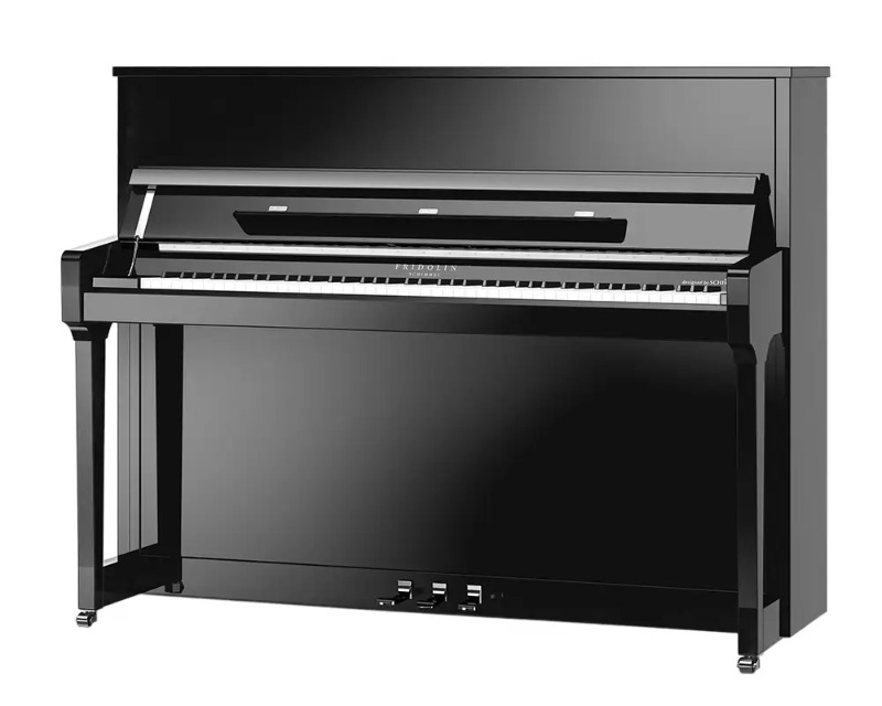 Schimmel F116T Fridolin