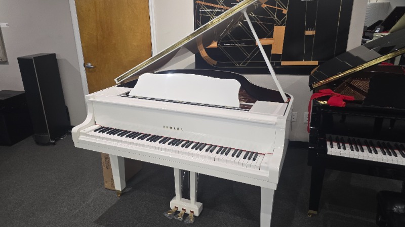 Additional image for Yamaha GB1K