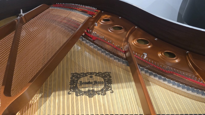Additional image for Yamaha GB1K