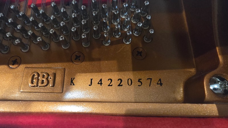 Additional image for Yamaha GB1K