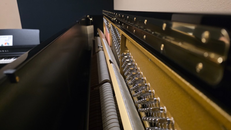 Additional image for Schimmel K122 Elegance