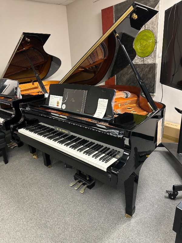 Additional image for Kawai GX3