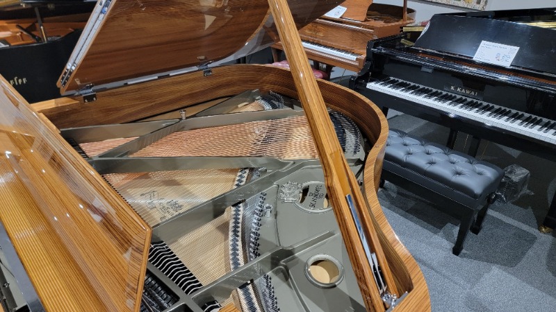Additional image for Schimmel C169 "Royal Wood"