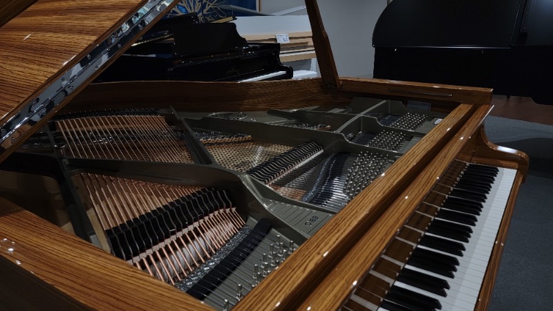 Additional image for Schimmel C169 "Royal Wood"