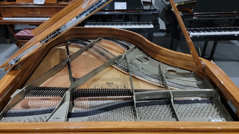 Additional image for Schimmel C169 "Royal Wood"