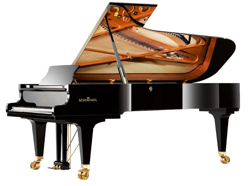 Schimmel280.png