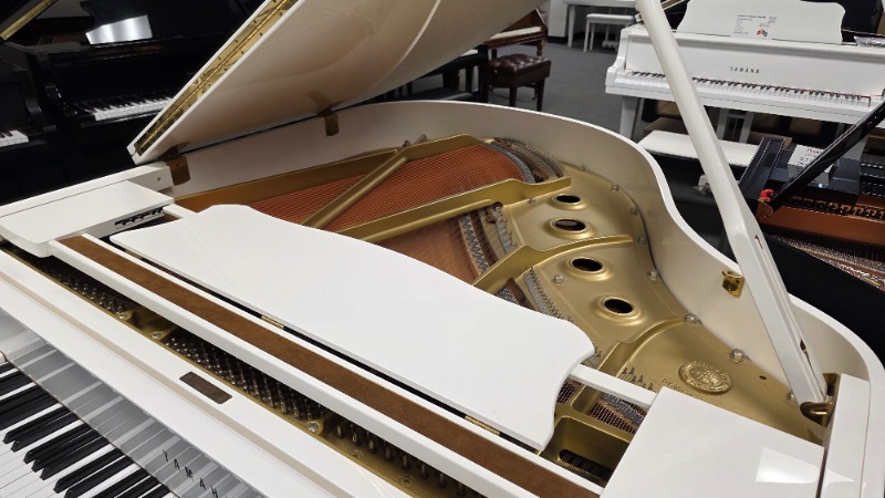 Additional image for Yamaha G1