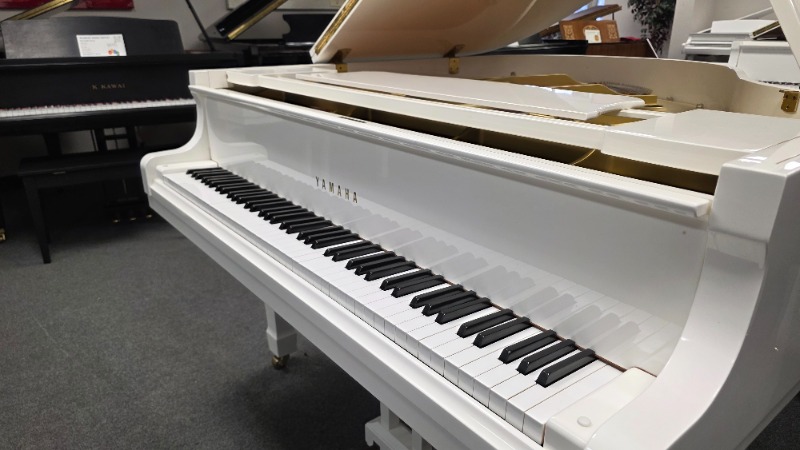 Additional image for Yamaha G1