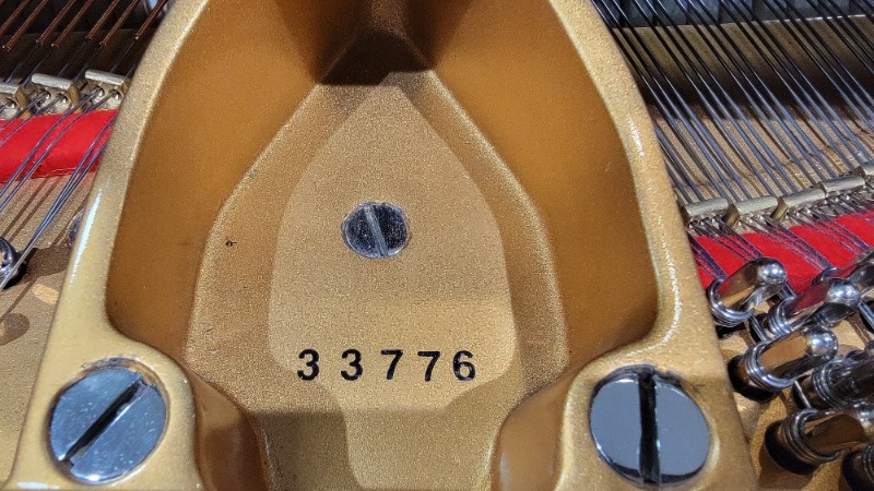 17531910304673073190890773054584.jpg