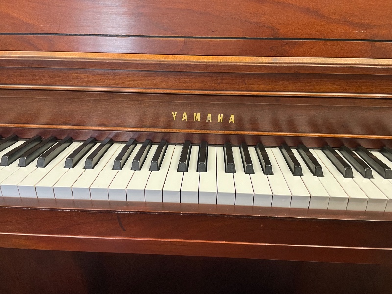 Additional image for Yamaha M450