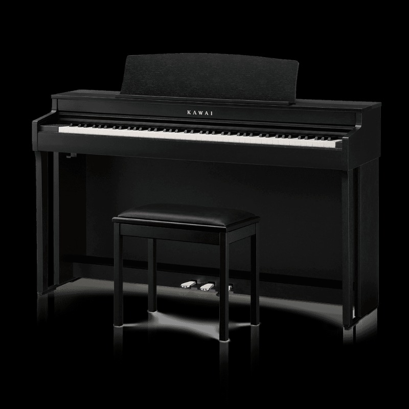 Kawai CN301