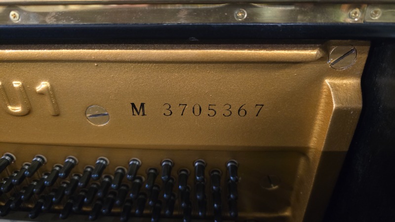 17608094299908857444530229268.jpg