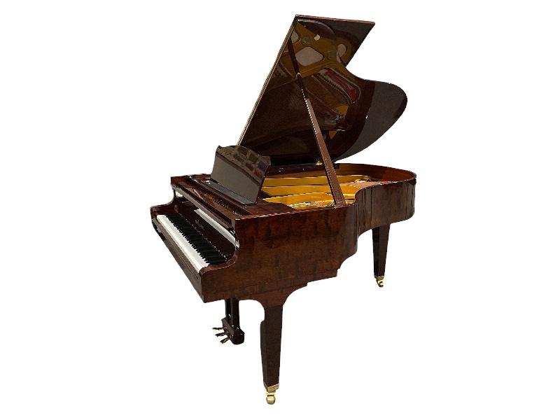 Seiler-Back (1).png