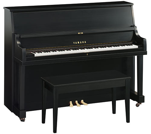 Yamaha P22