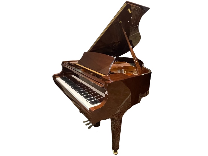 Additional image for Kawai GX1