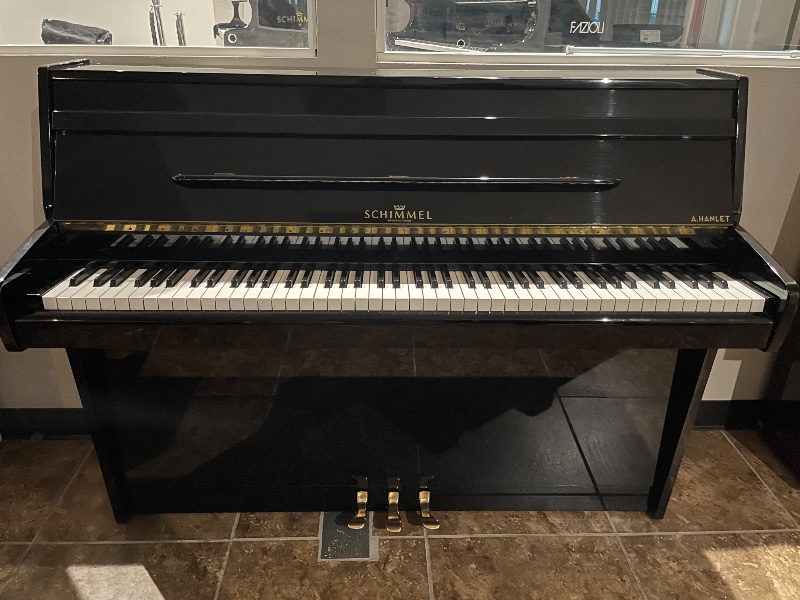 Schimmel 110