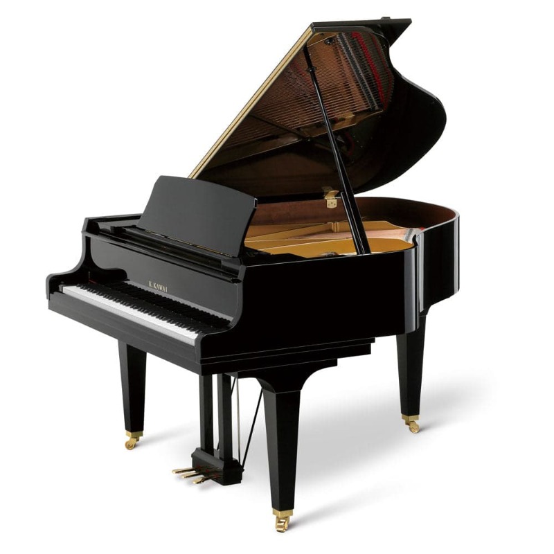 GL30-Polished-Ebony.jpeg