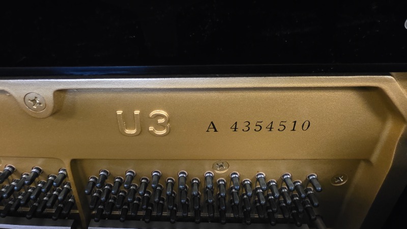 Additional image for Yamaha U3A