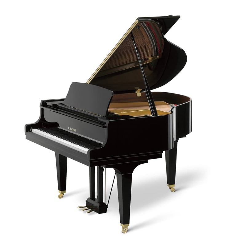 GL20-Polished-Ebony.jpeg