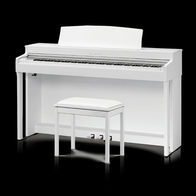 Kawai CN301
