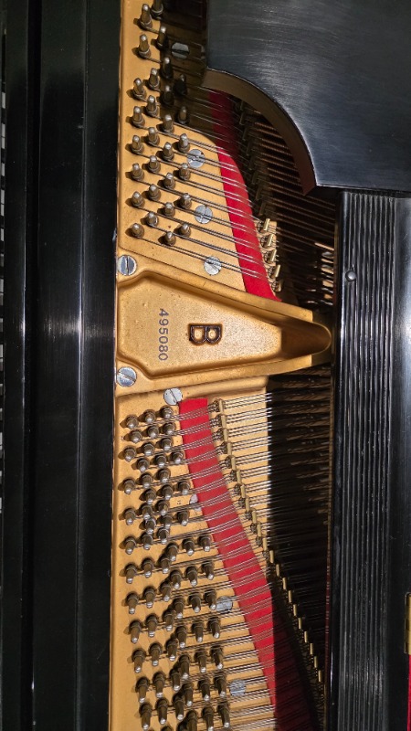 Additional image for Steinway B