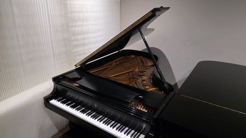 Additional image for Steinway B
