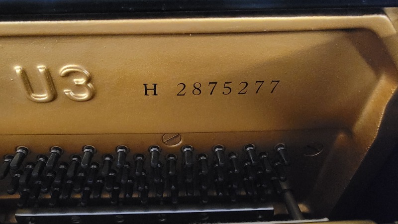 17510507383442578624803257130403.jpg