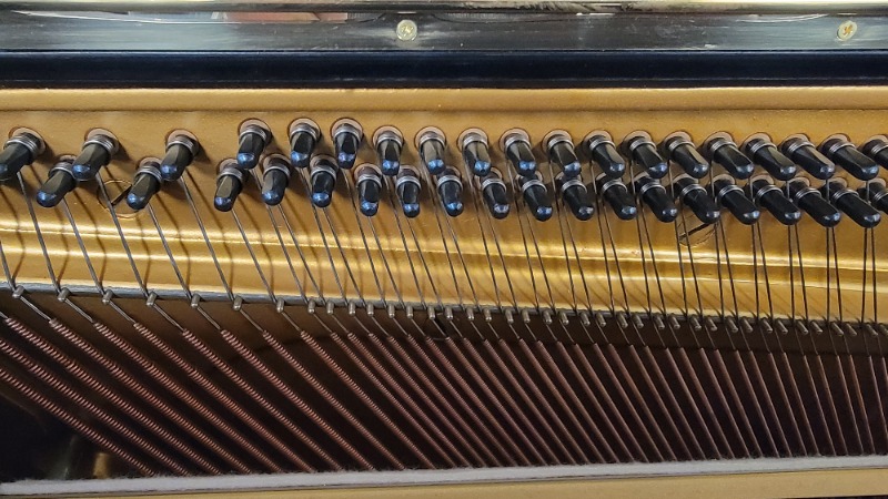17510507622047161288674748484740.jpg
