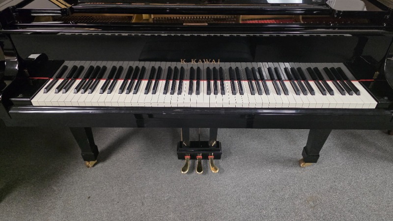 Additional image for Kawai RX-3
