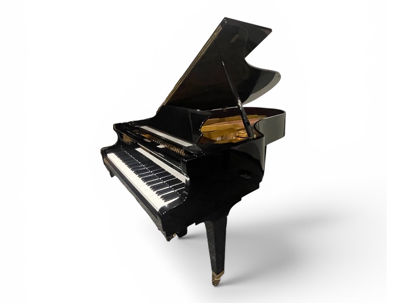 Schimmel208-front.png